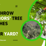 Can I Throw Neighbors Tree Branches Back in Their Yard?