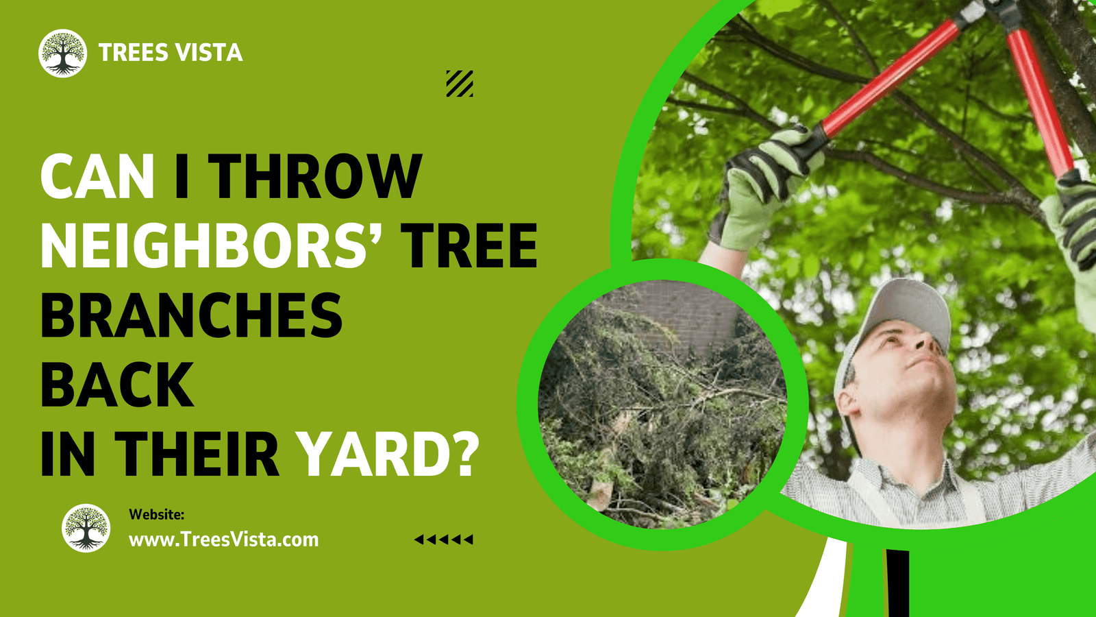 Can I Throw Neighbors Tree Branches Back in Their Yard?