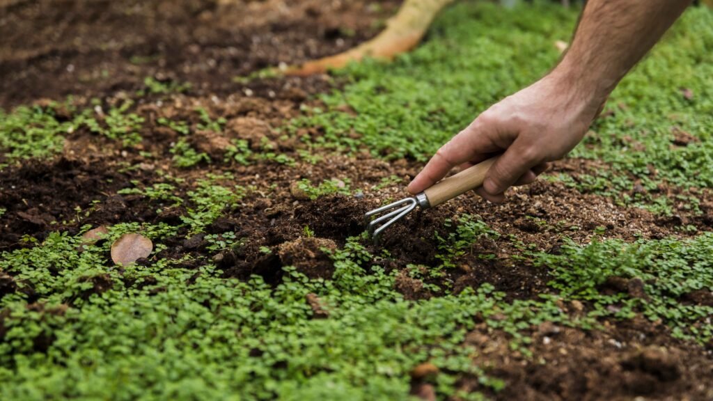 Routine Mulching