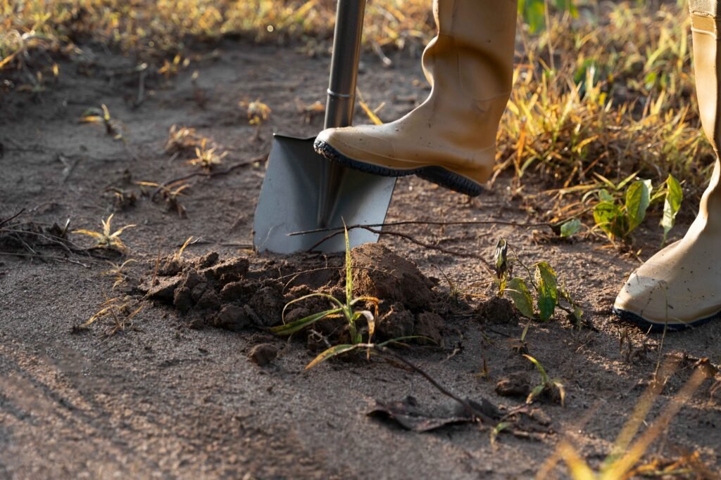 Organic Mulching